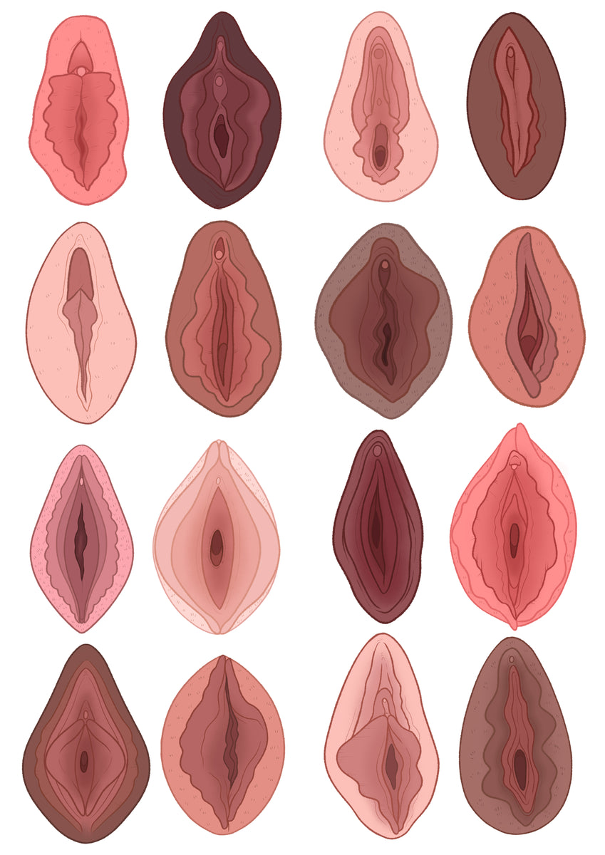 Vagina collection Collections – Vagina Museum