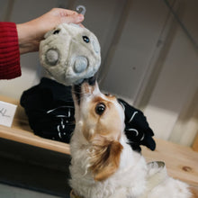 Load image into Gallery viewer, Plushie HPV
