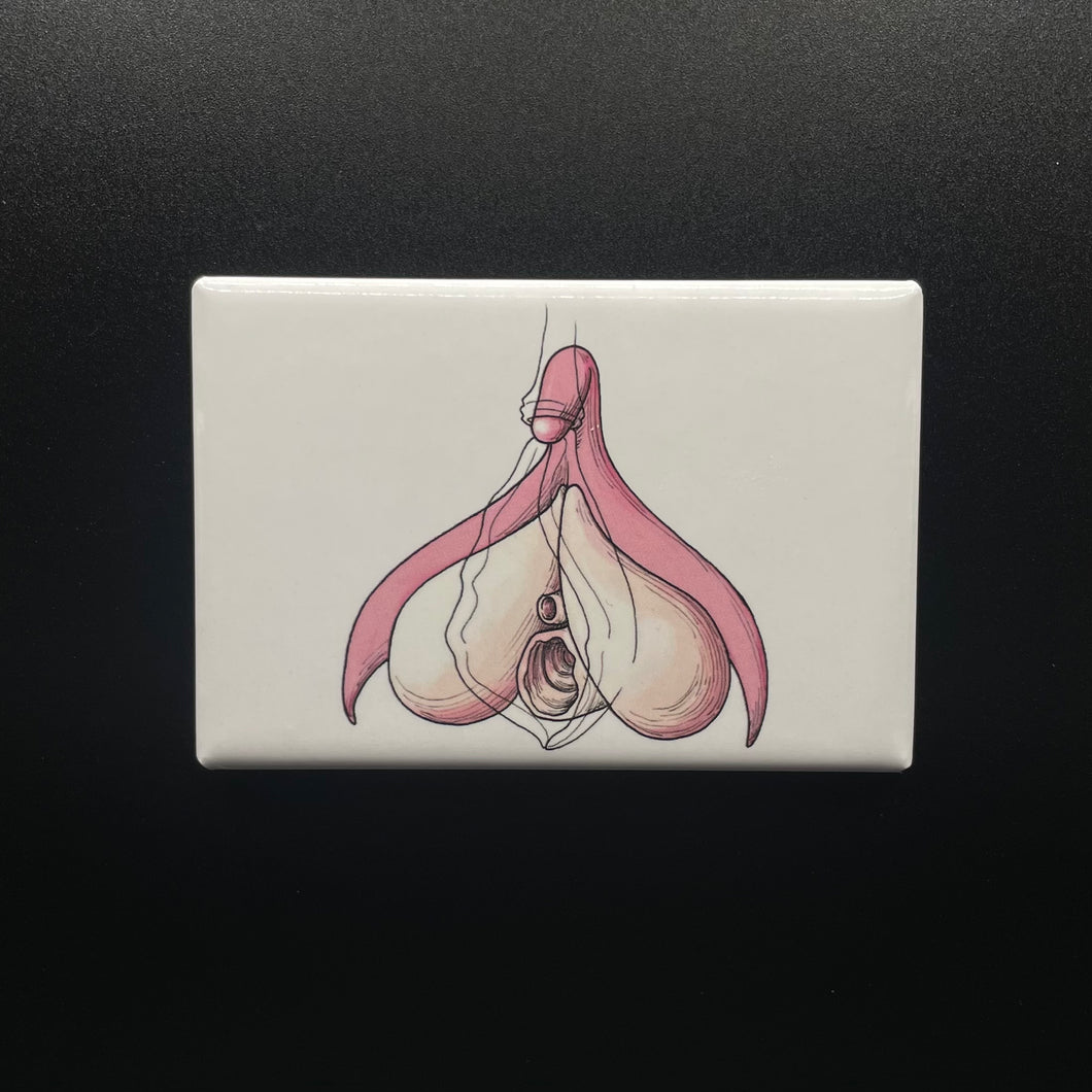 Clitoris Tinplate Magnet