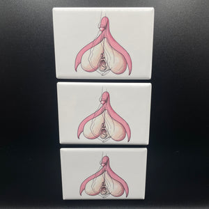 Clitoris Tinplate Magnet