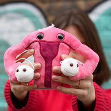 Load image into Gallery viewer, Plushie Uterus
