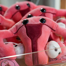 Load image into Gallery viewer, Plushie Uterus
