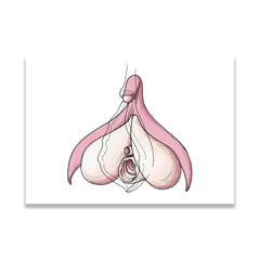Clitoris Postcard