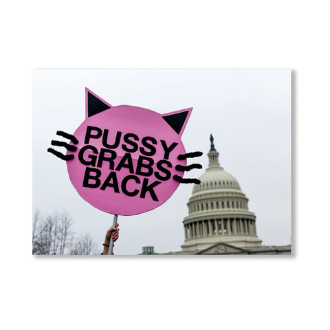 Pussy Grabs Back Postcard