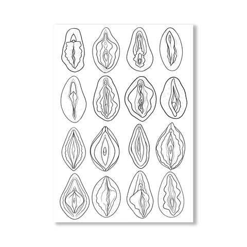 Vulva Illustration Postcard