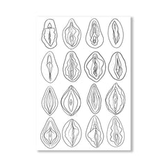 Vulva Illustration Postcard