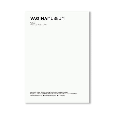 Vulva Illustration Postcard