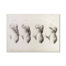 Load image into Gallery viewer, Stages of Pregnancy Postcard
