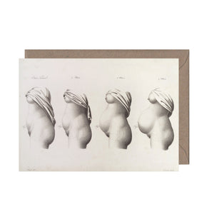 Stages of Pregnancy Greeting Card