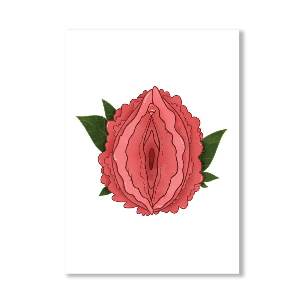 Peony Vulva Postcard