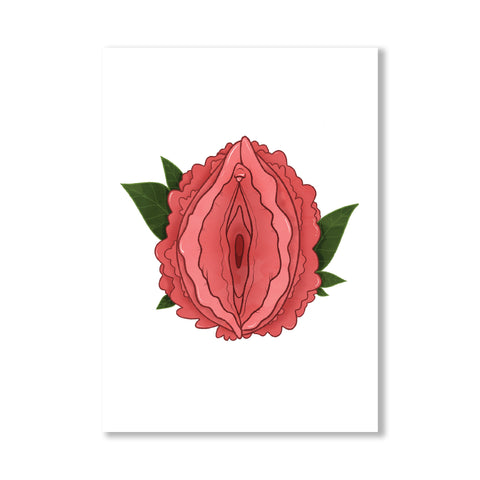 Peony Vulva Postcard