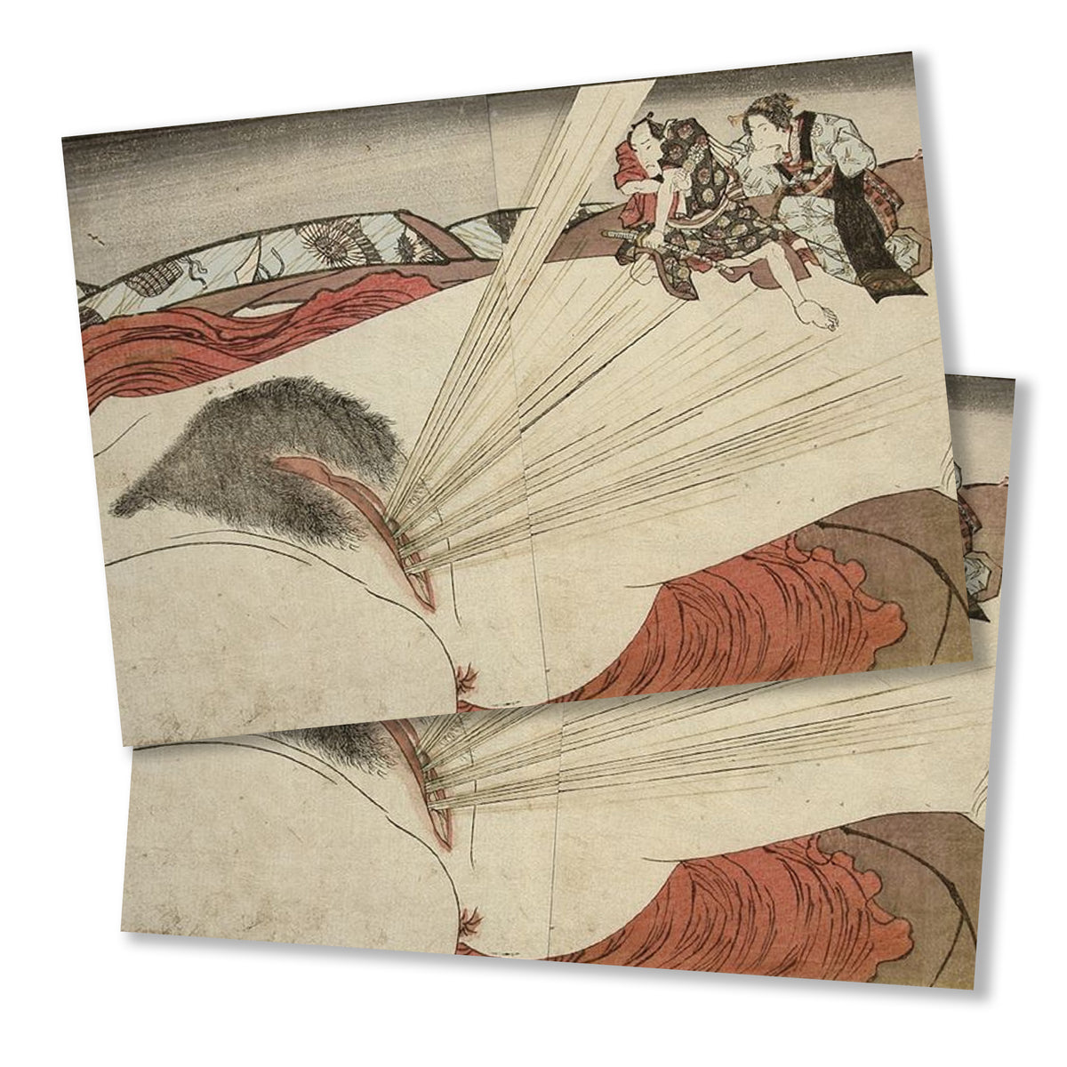 Shunga Postcard – Vagina Museum