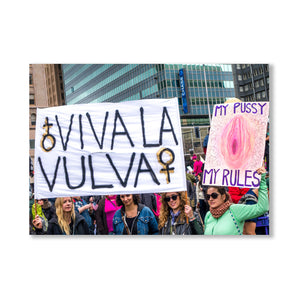 Viva La Vulva Postcard